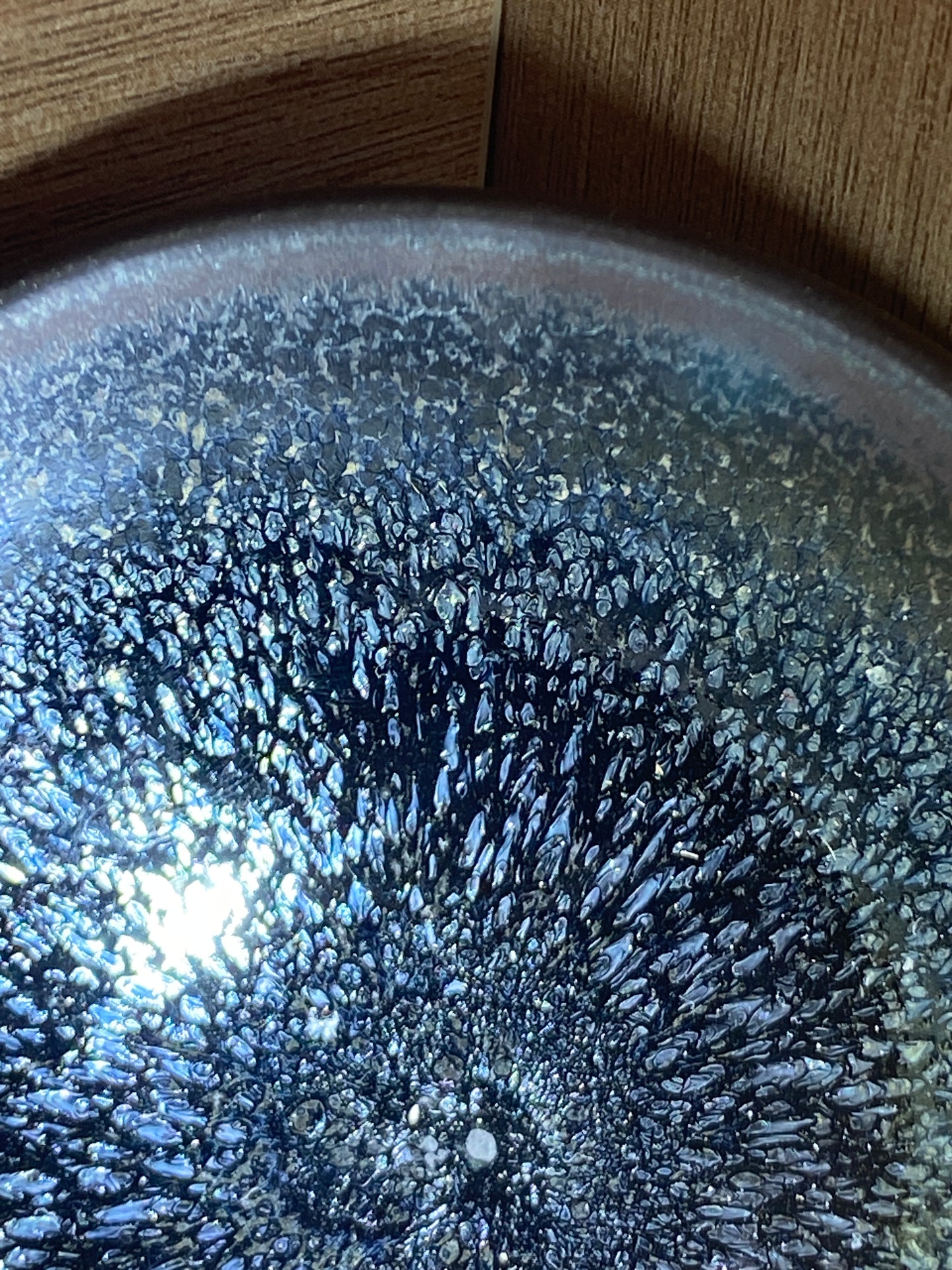 Master Cai-BaiHua Jianzhan