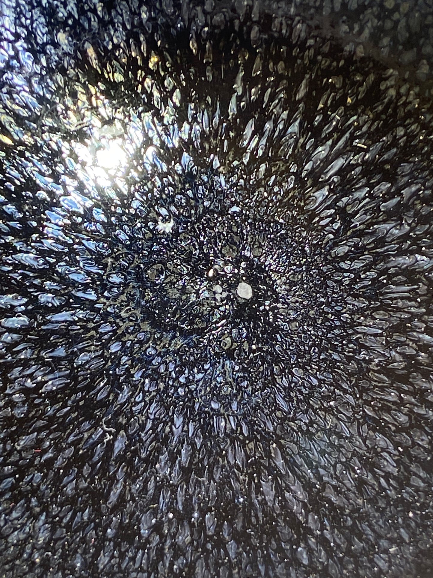 Master Cai-BaiHua Jianzhan