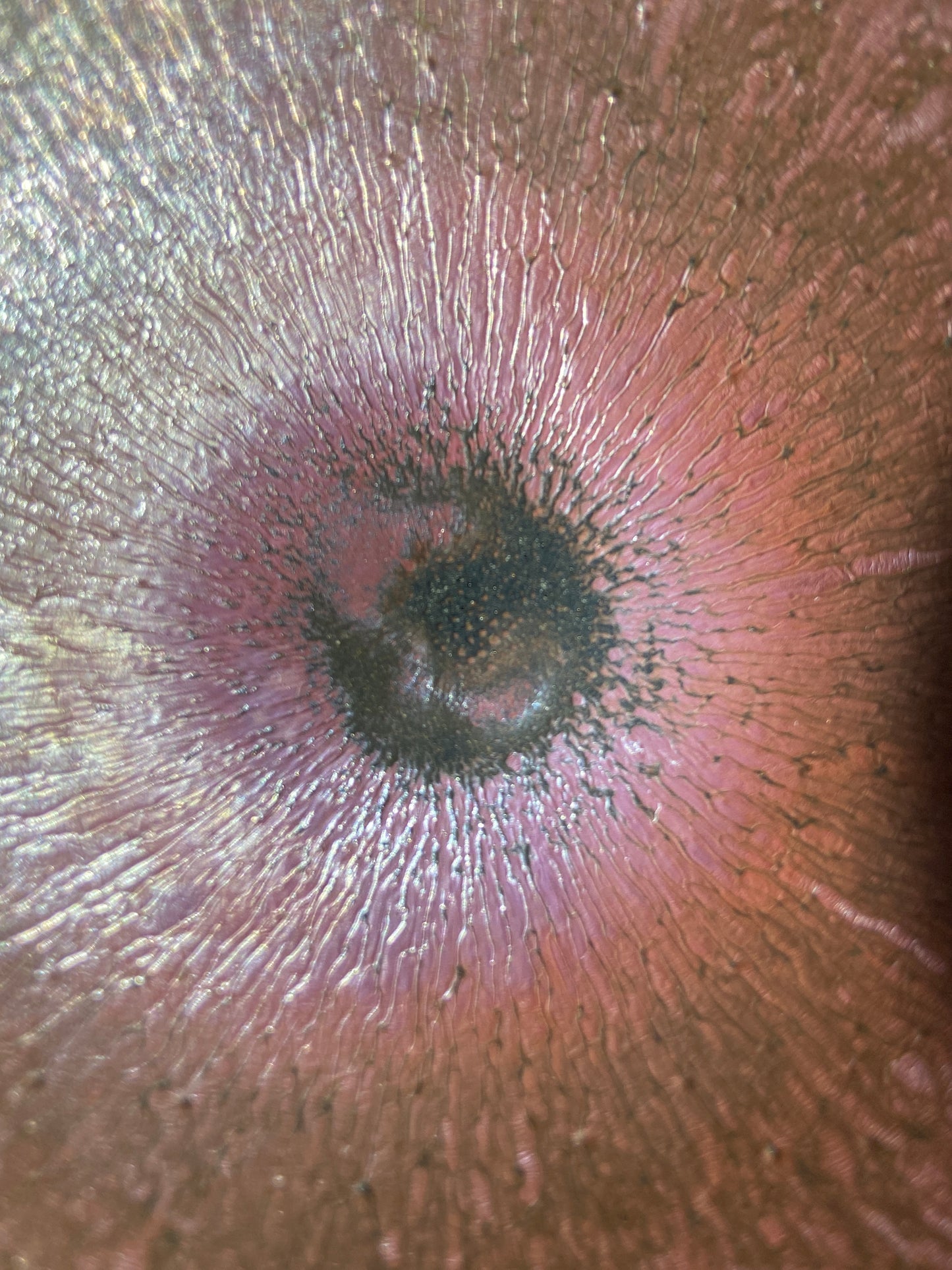 Master Cai-BaiHua Jianzhan