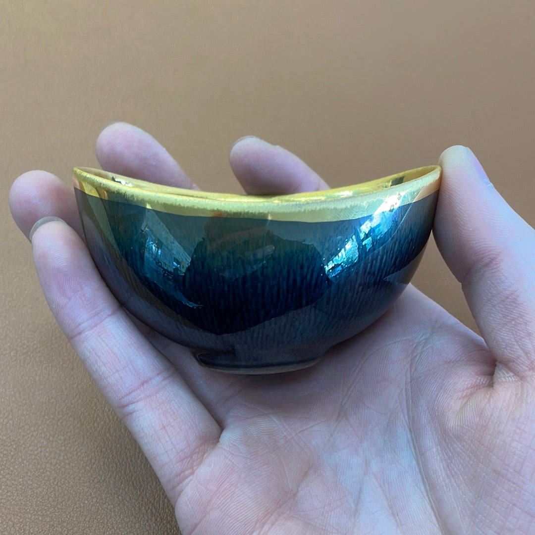 Xiuguangming 11.5
