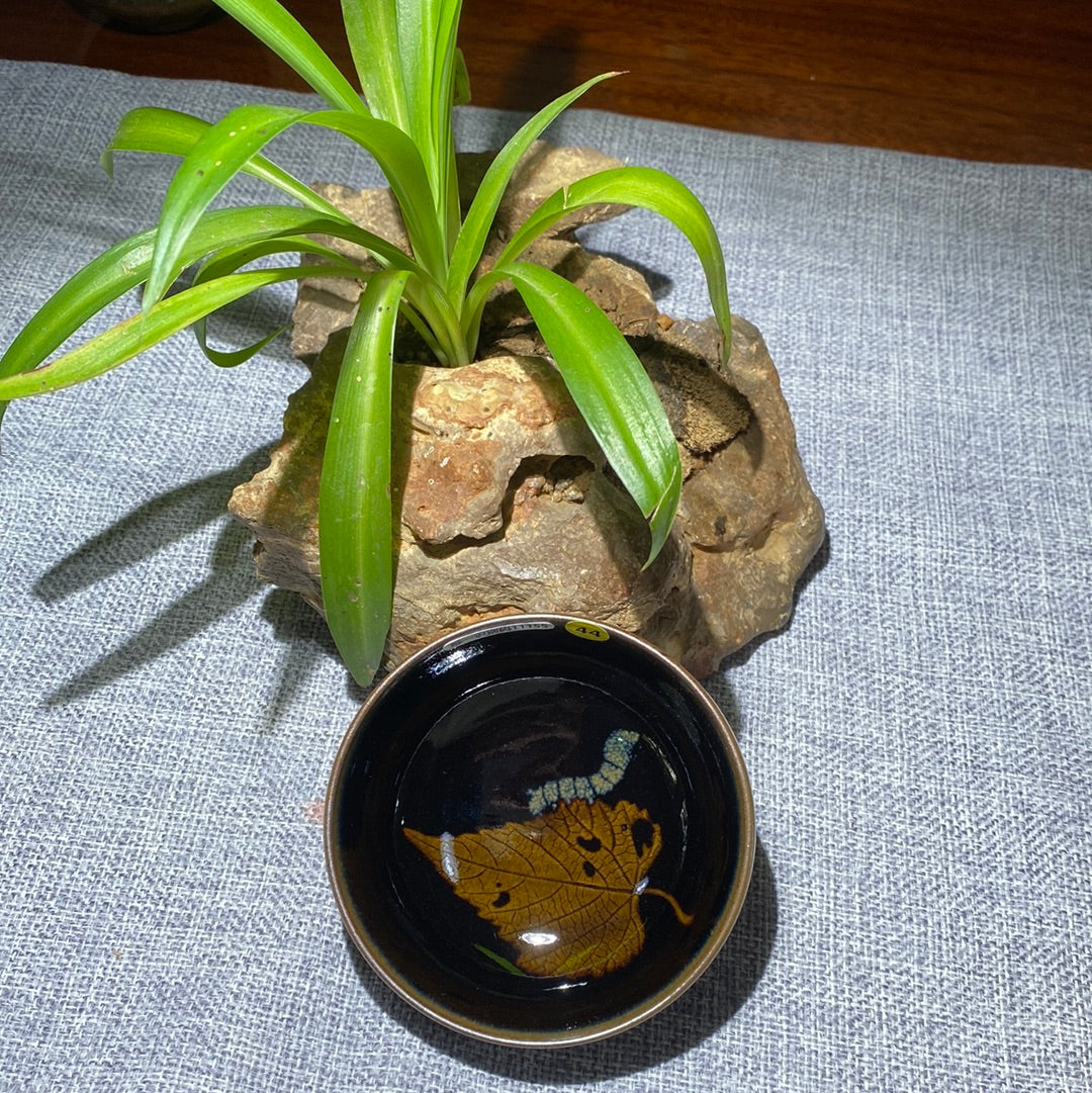 Dinjiapxiang. 5.24(DJX)