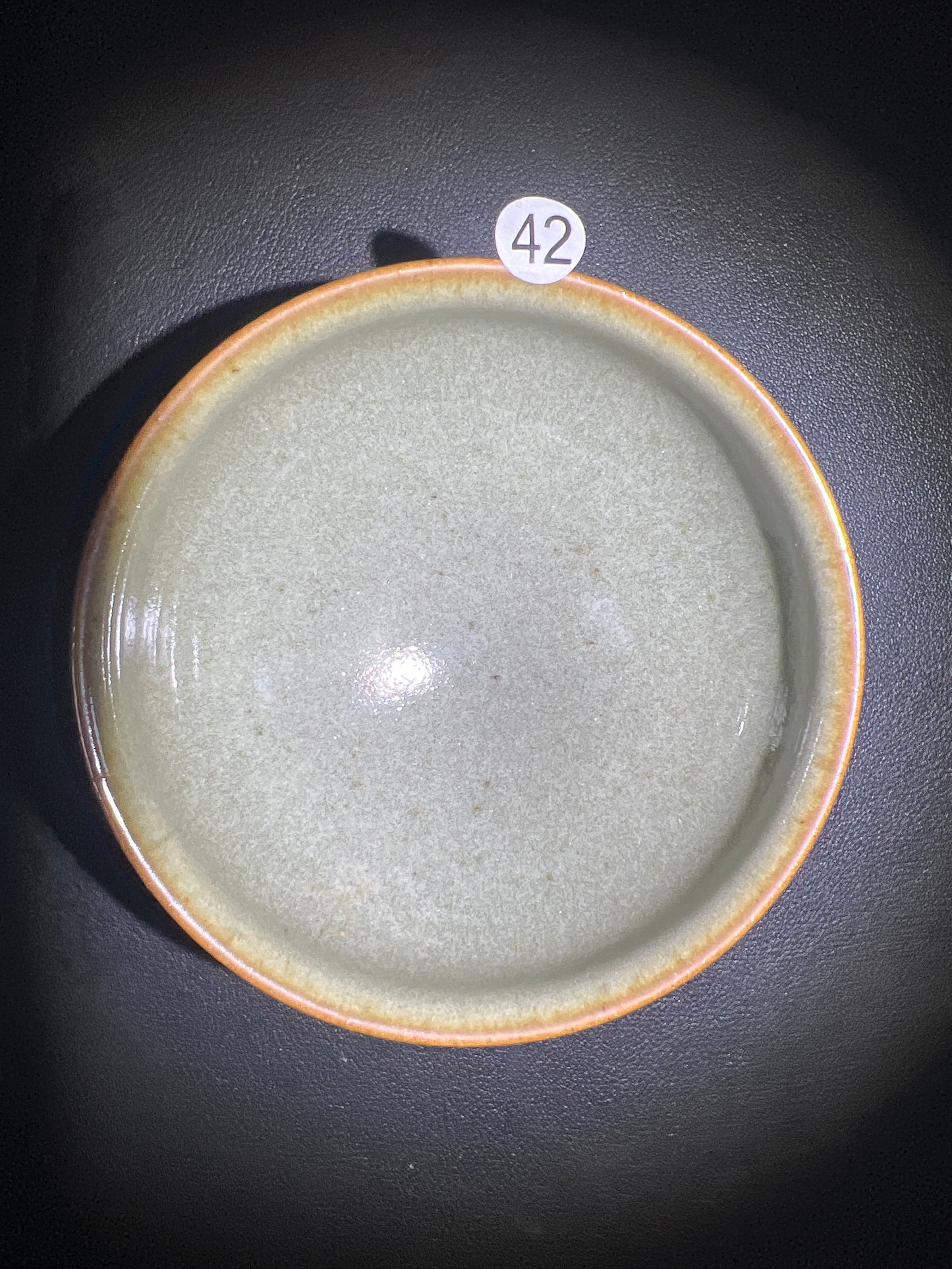 Master Chen Yuan Fu1.8