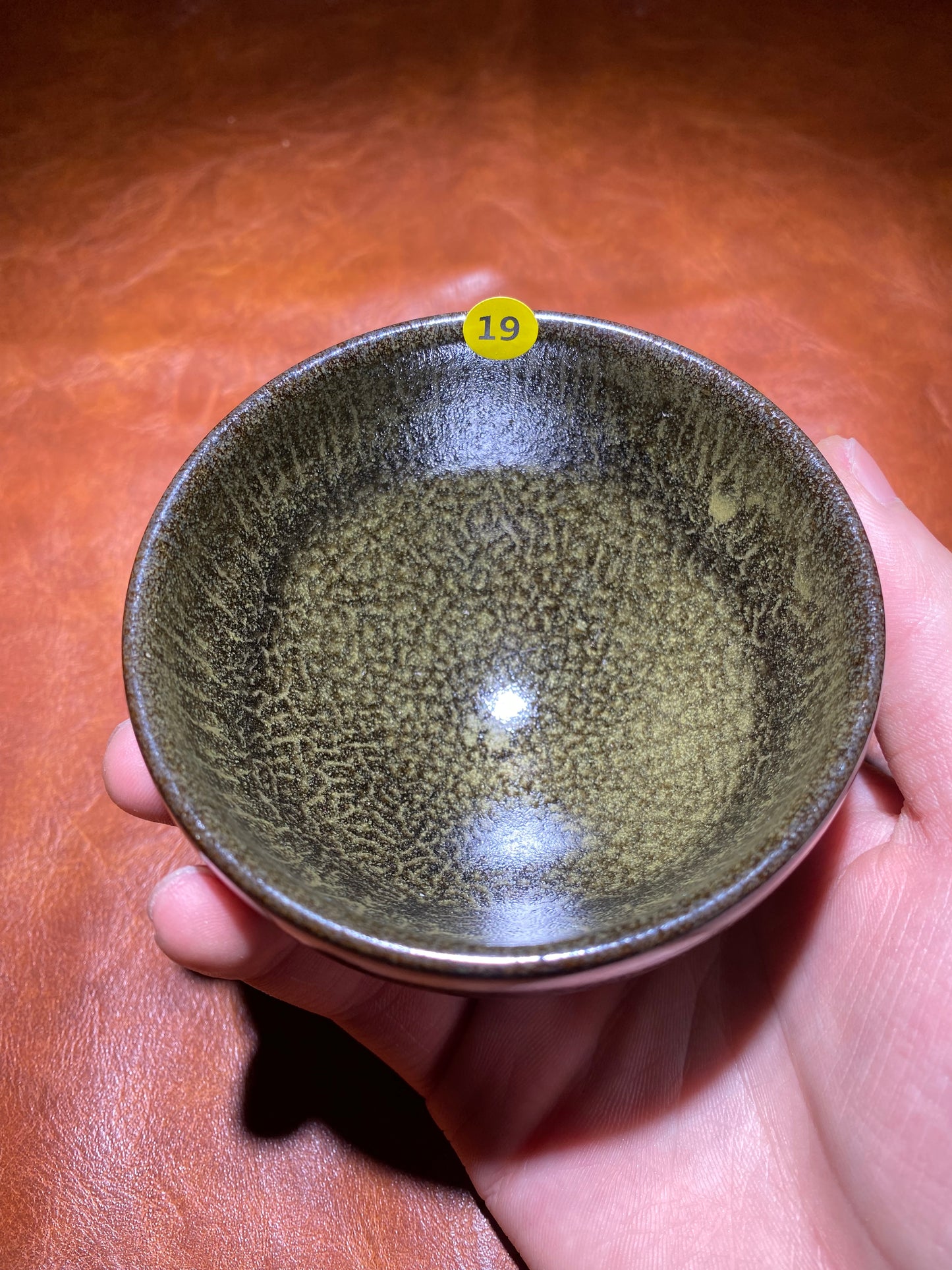 Maste zhan 7.25 (GXT)