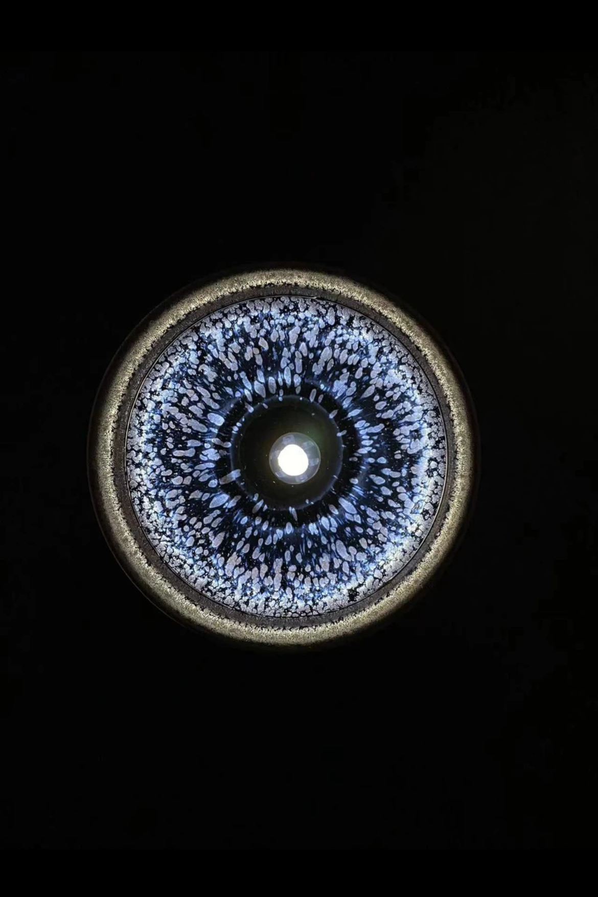 Liu Ding Chai Shao Zi Jin Ban