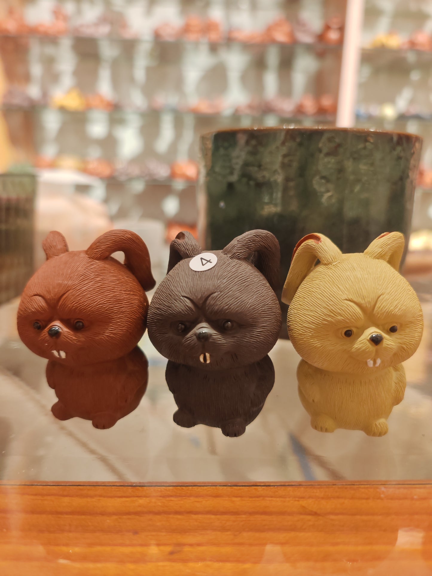 2025.9.26-tea pet