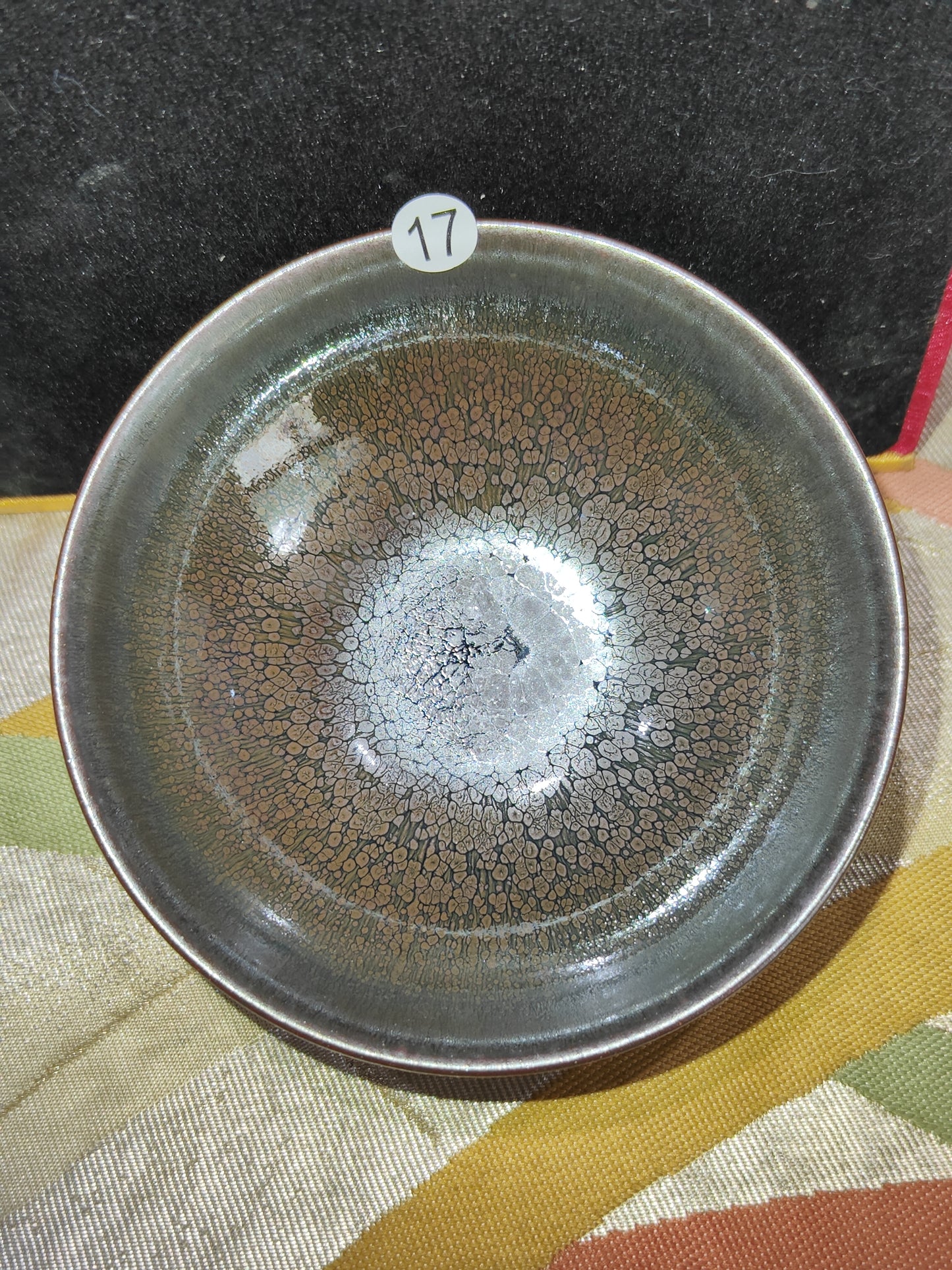 2025-6-5 Master. Pan