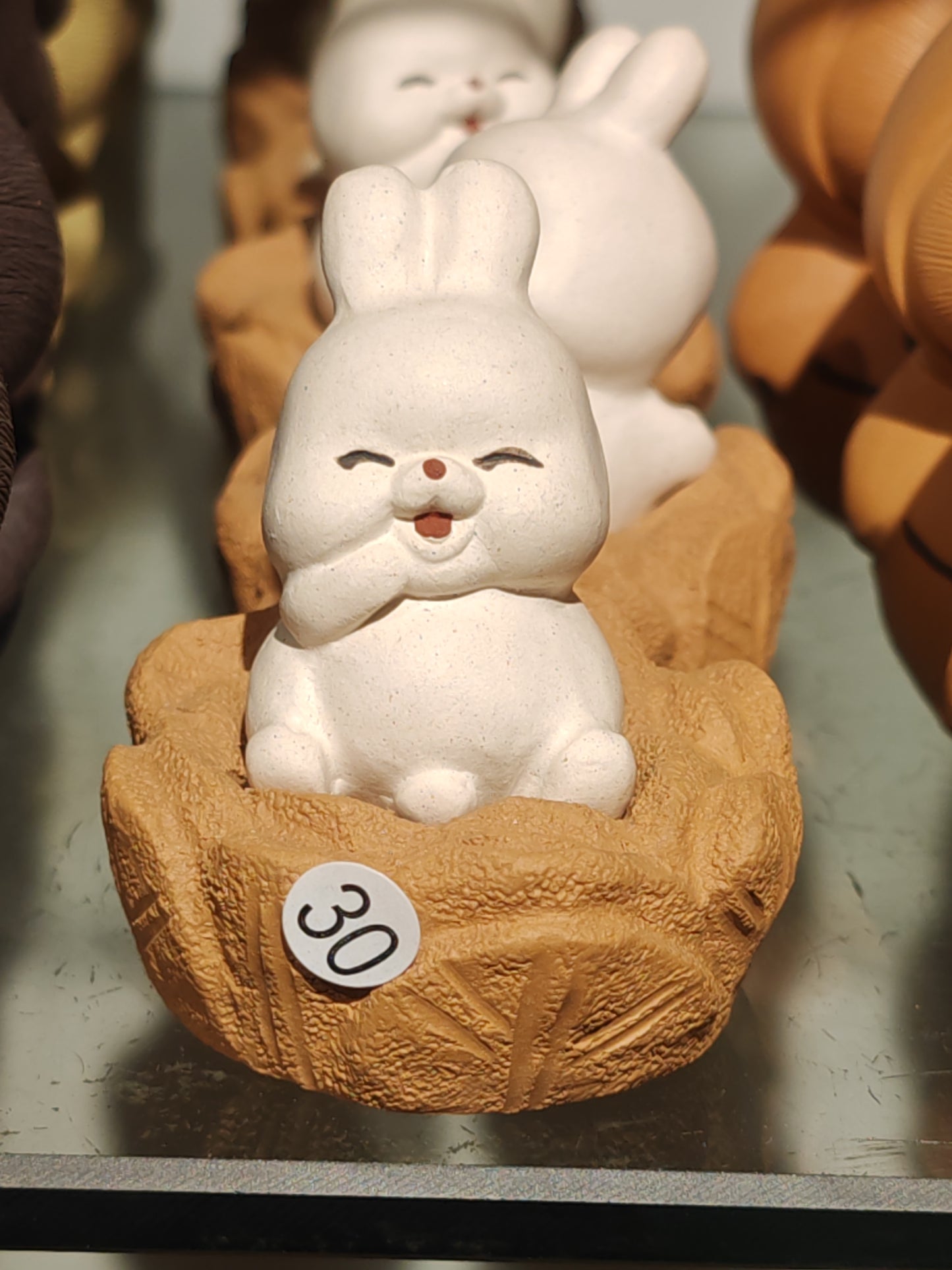 2025.9.26-tea pet