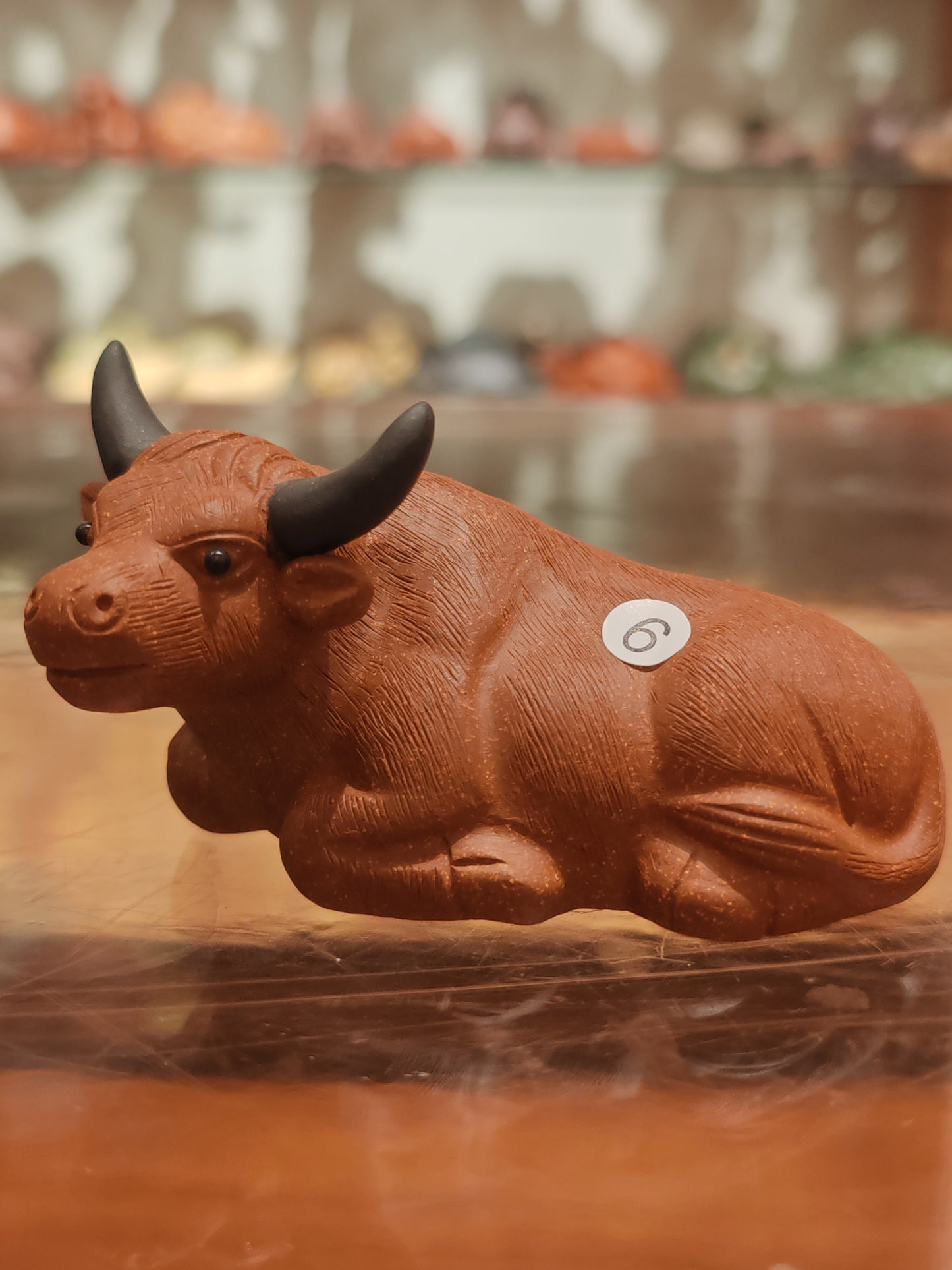2025.9.26-tea pet