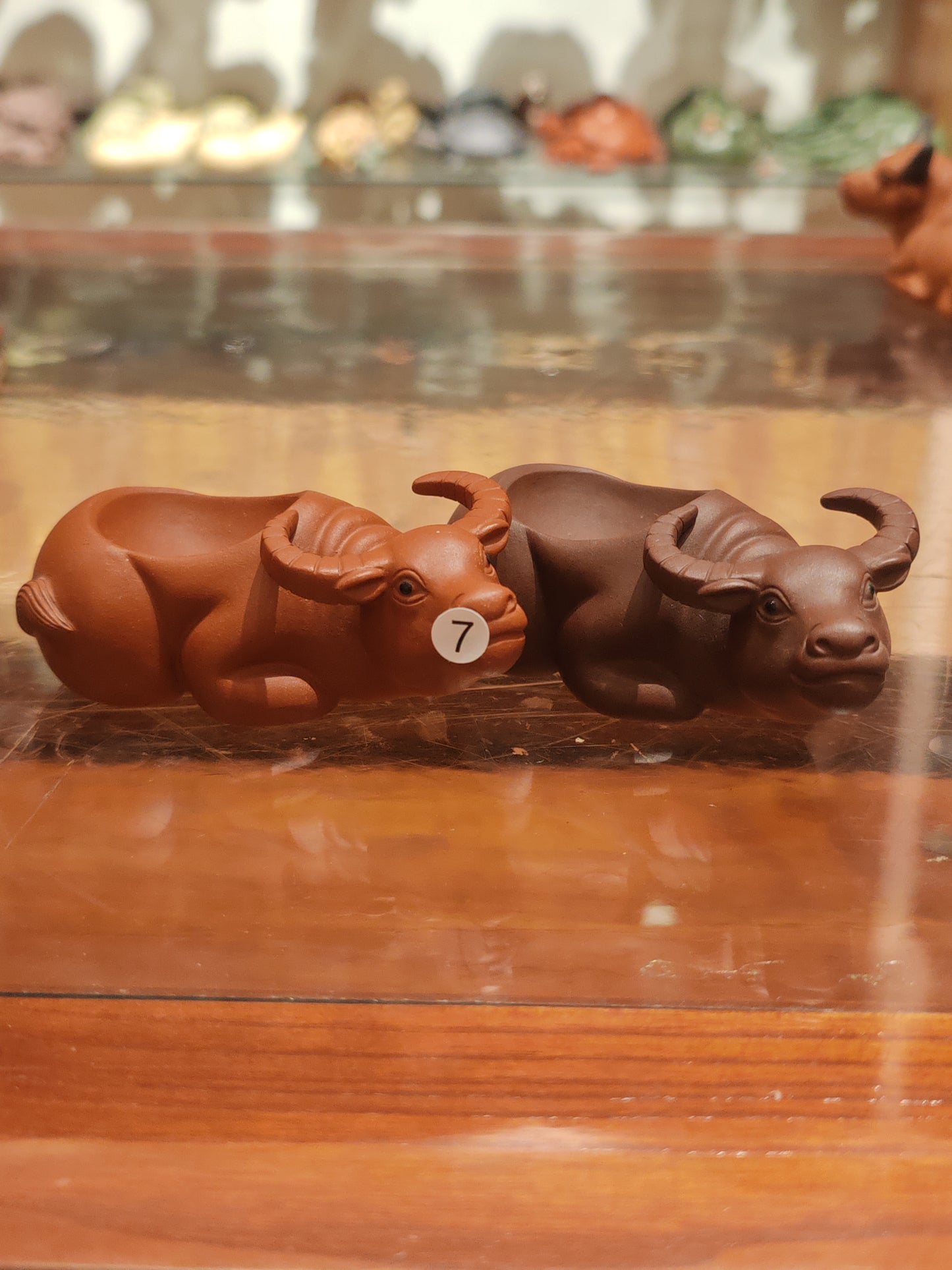 2025.9.26-tea pet