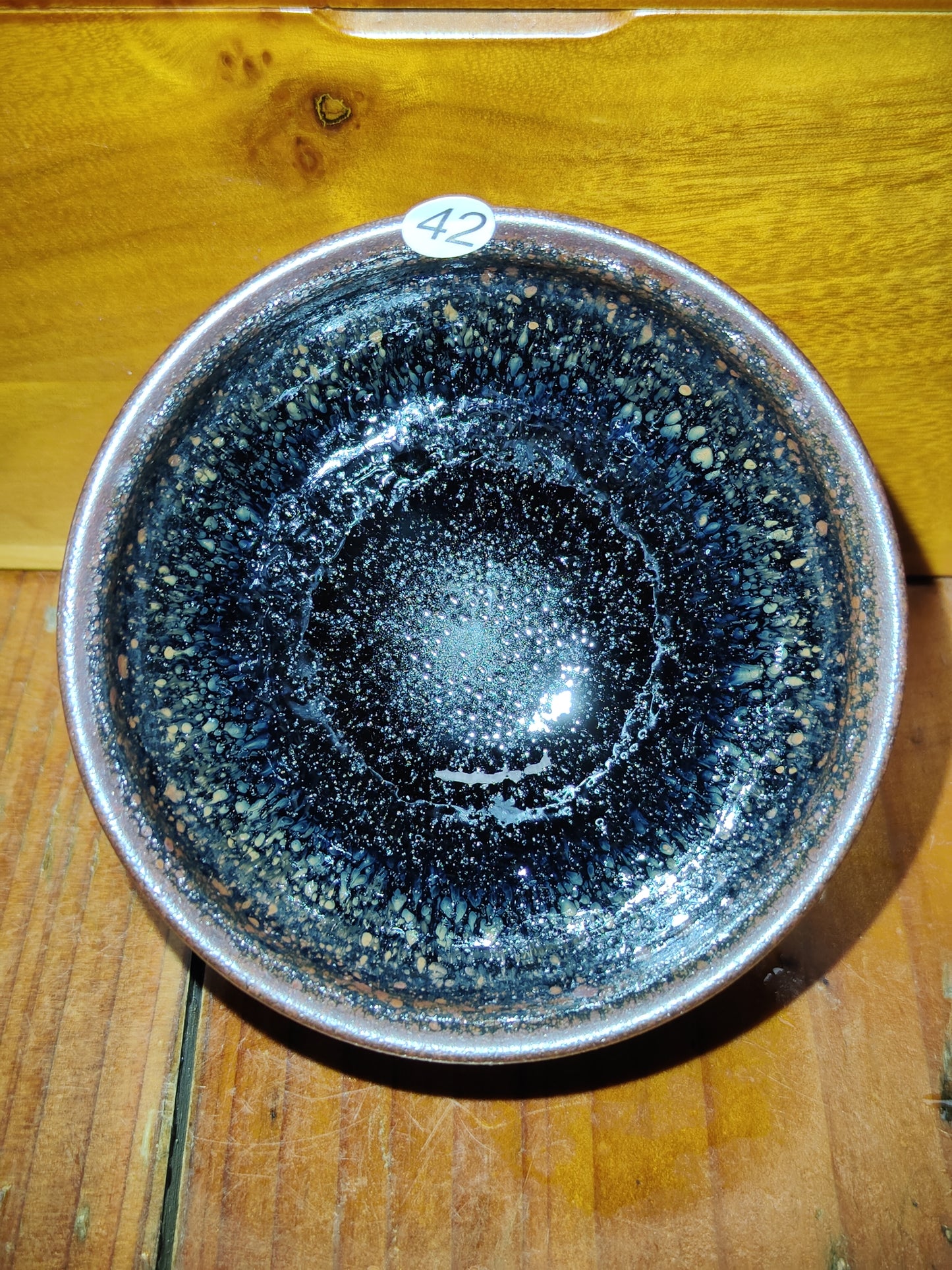 2025.9.5 Yin chuntang