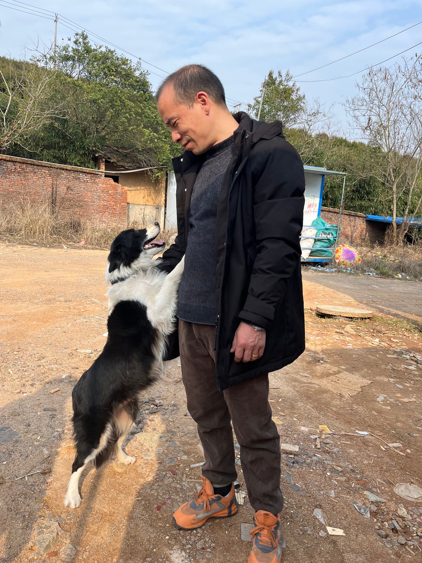 china veins