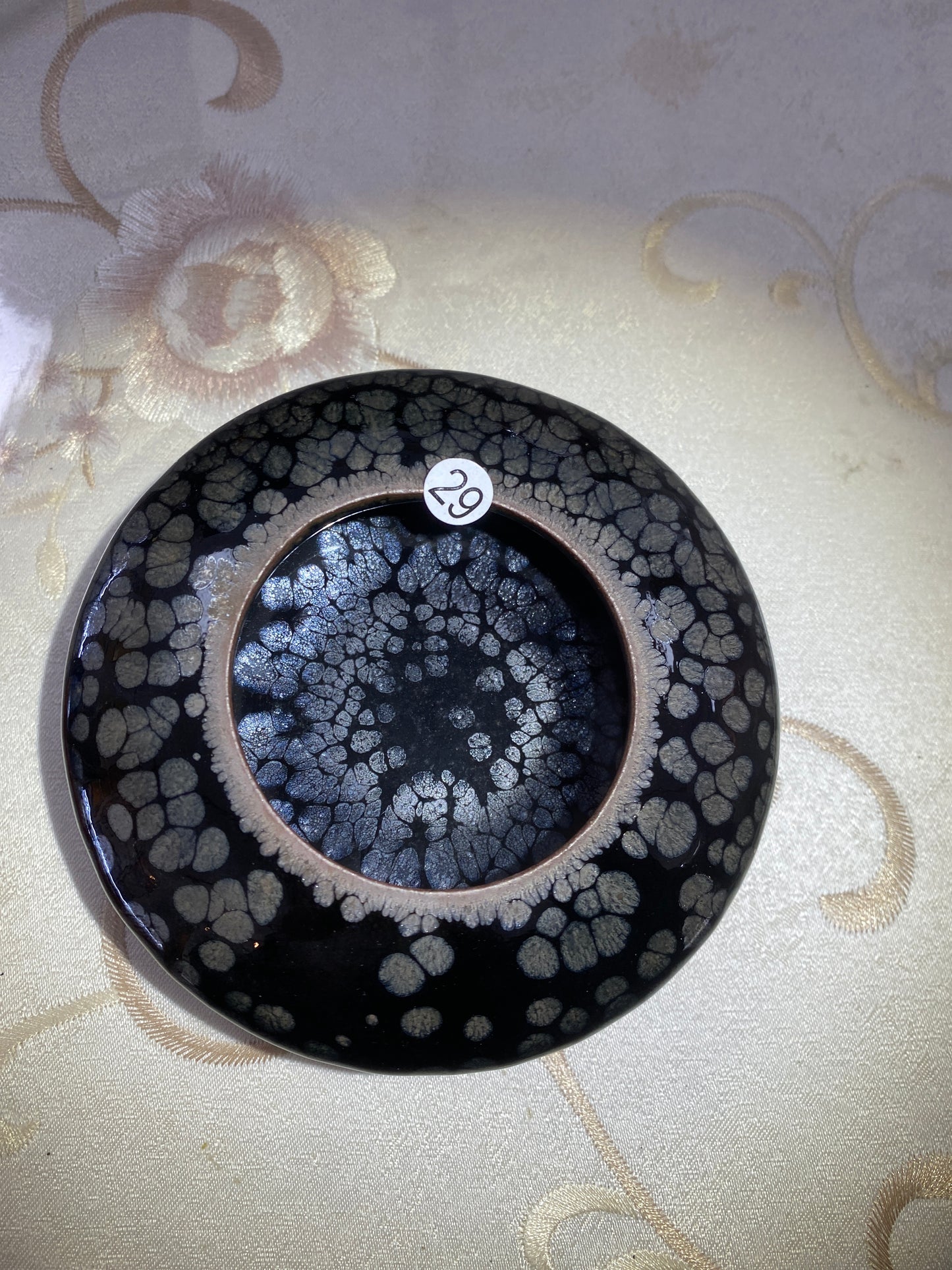 2026.4.5 Master Yang