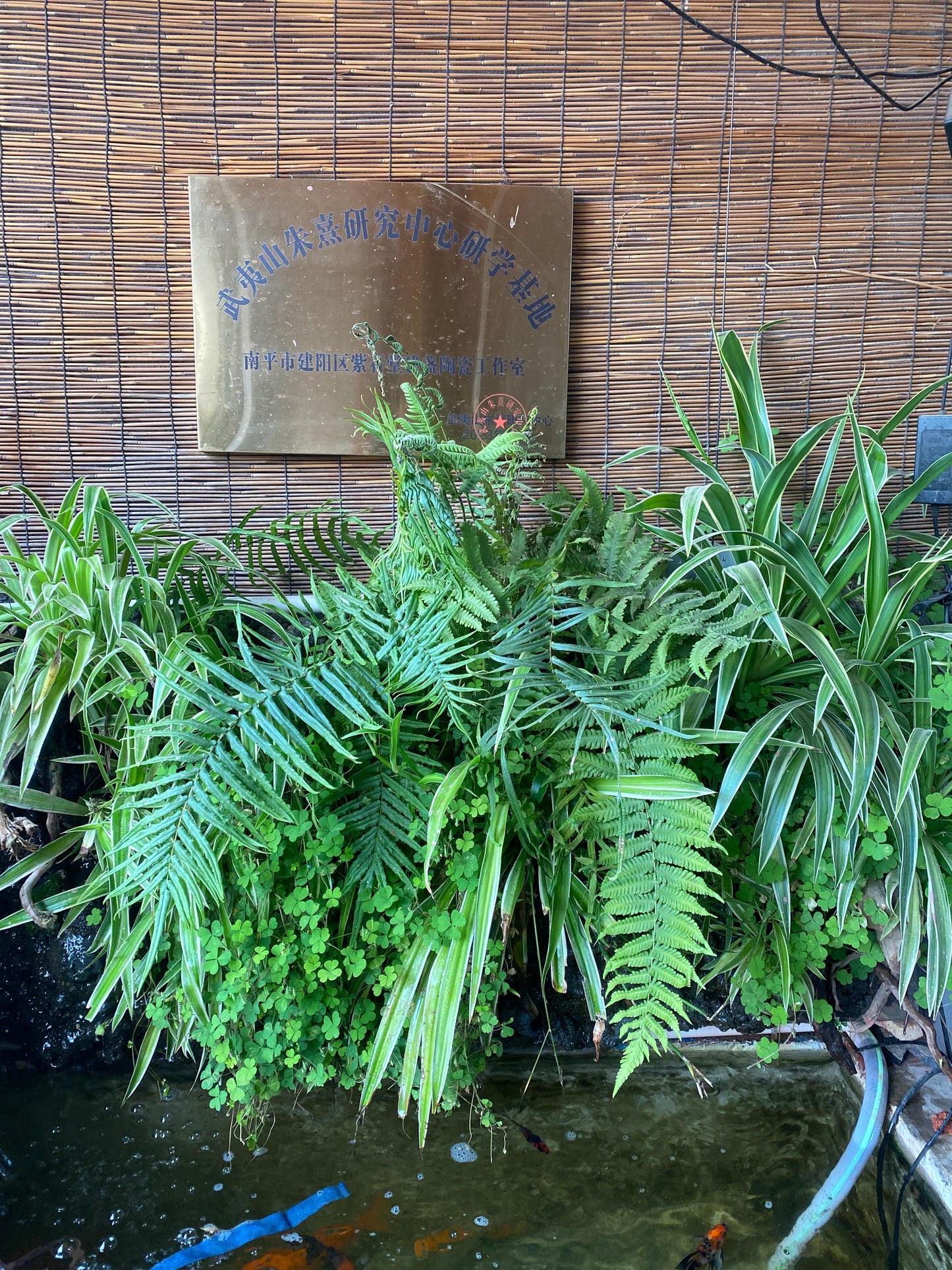 Master din 2025.12.11