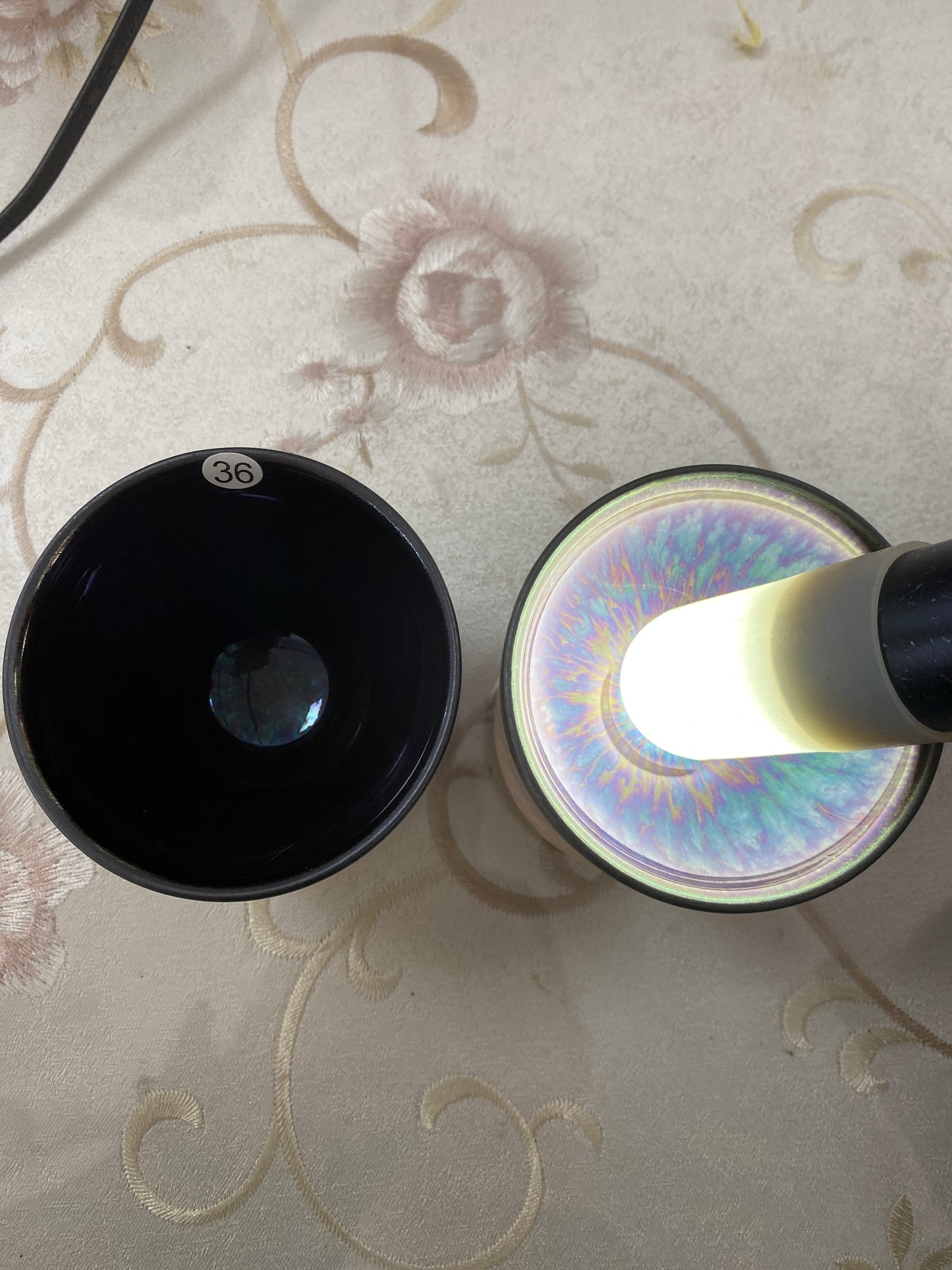 2026.4.5 Master Yang