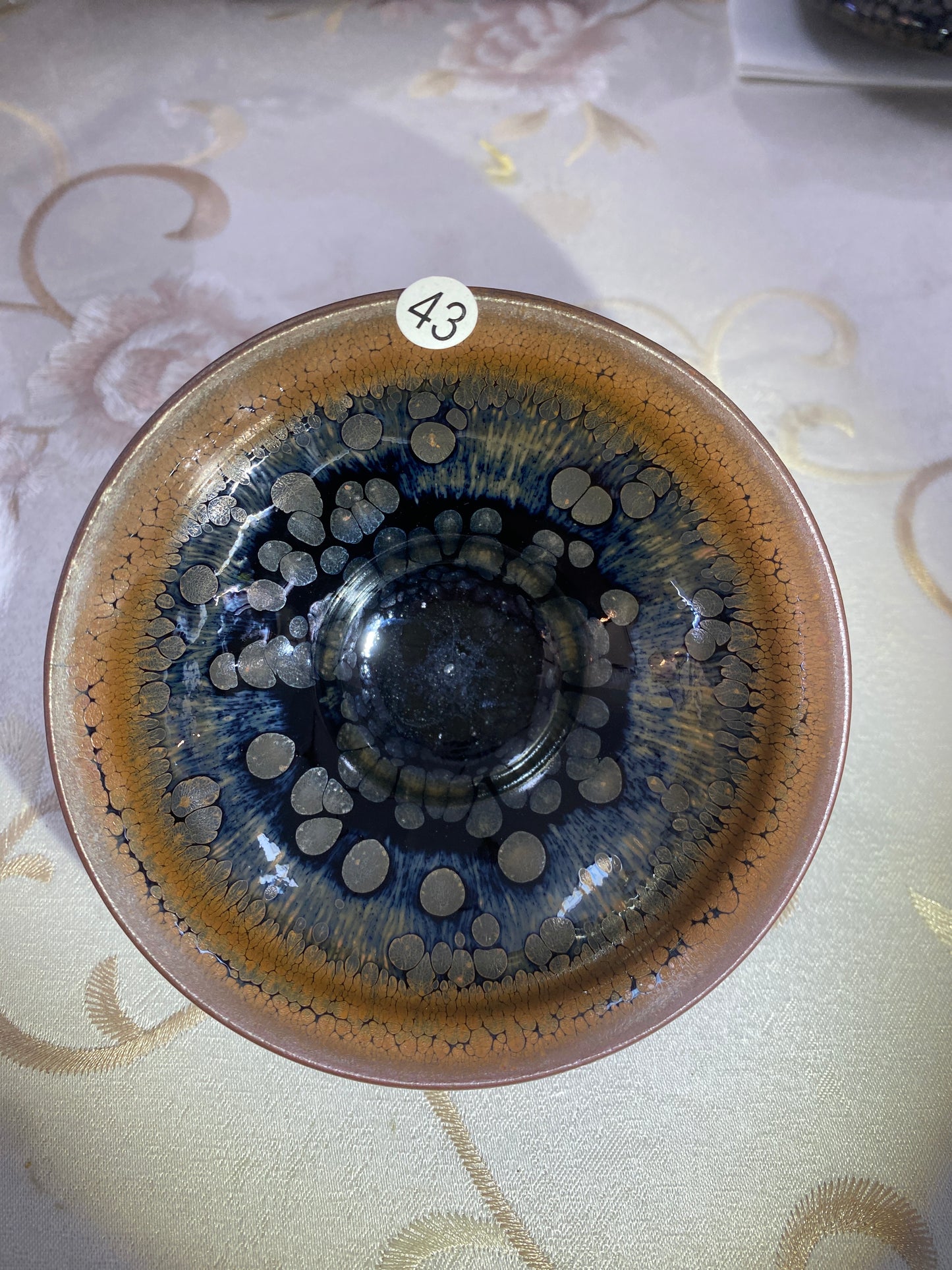 2026.4.5 Master Yang