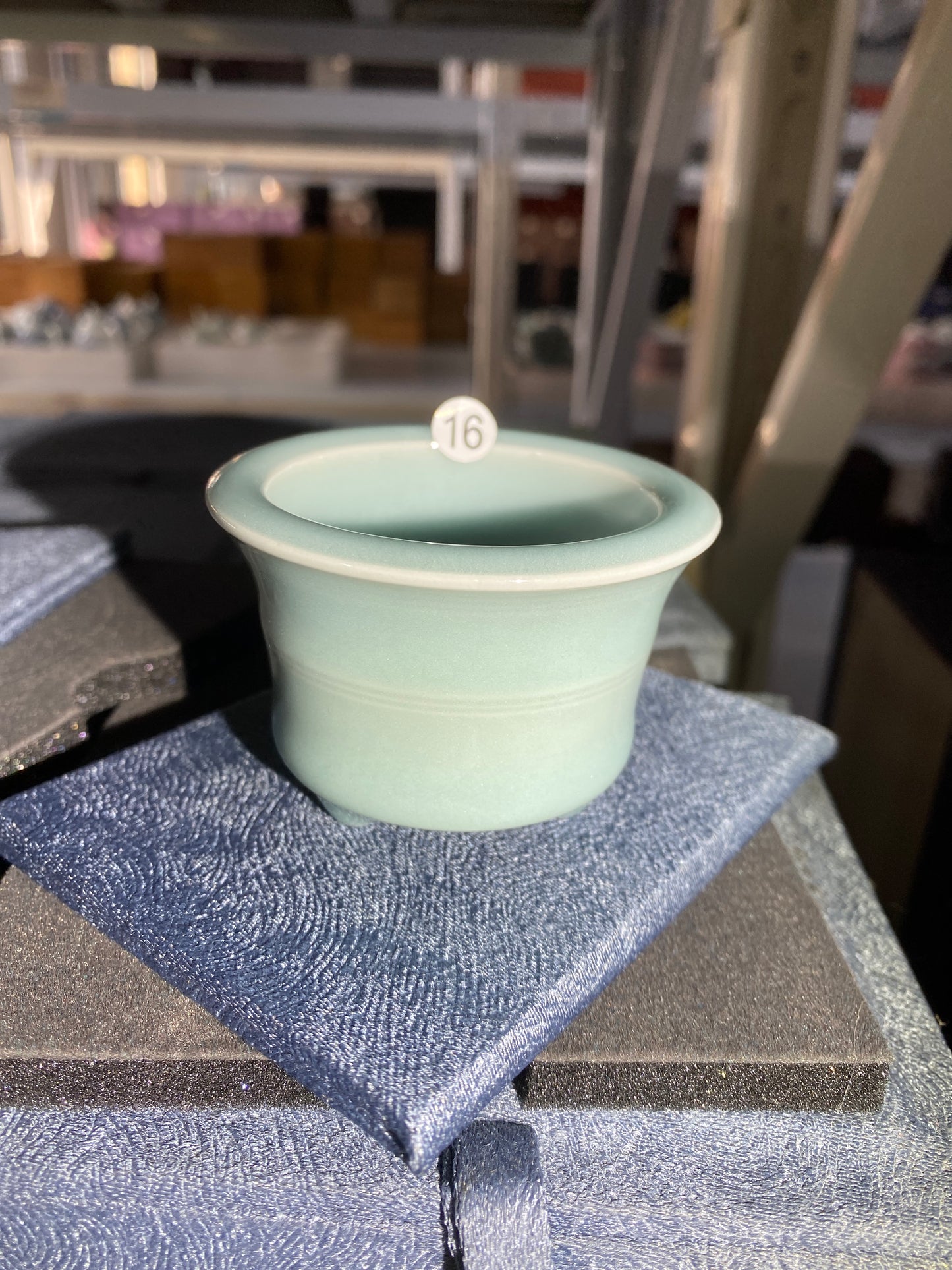 2026-1-17 Celadon special