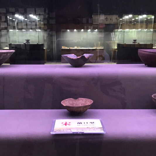 Master Zhou Jian Ping