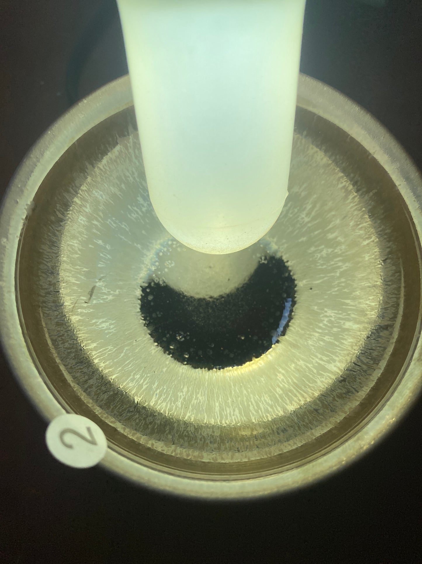 2026.06.02 Master Tian