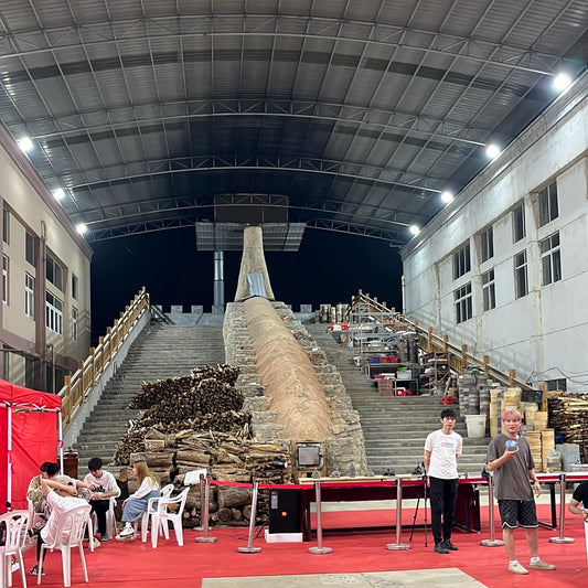 Open ceremony of master Huang