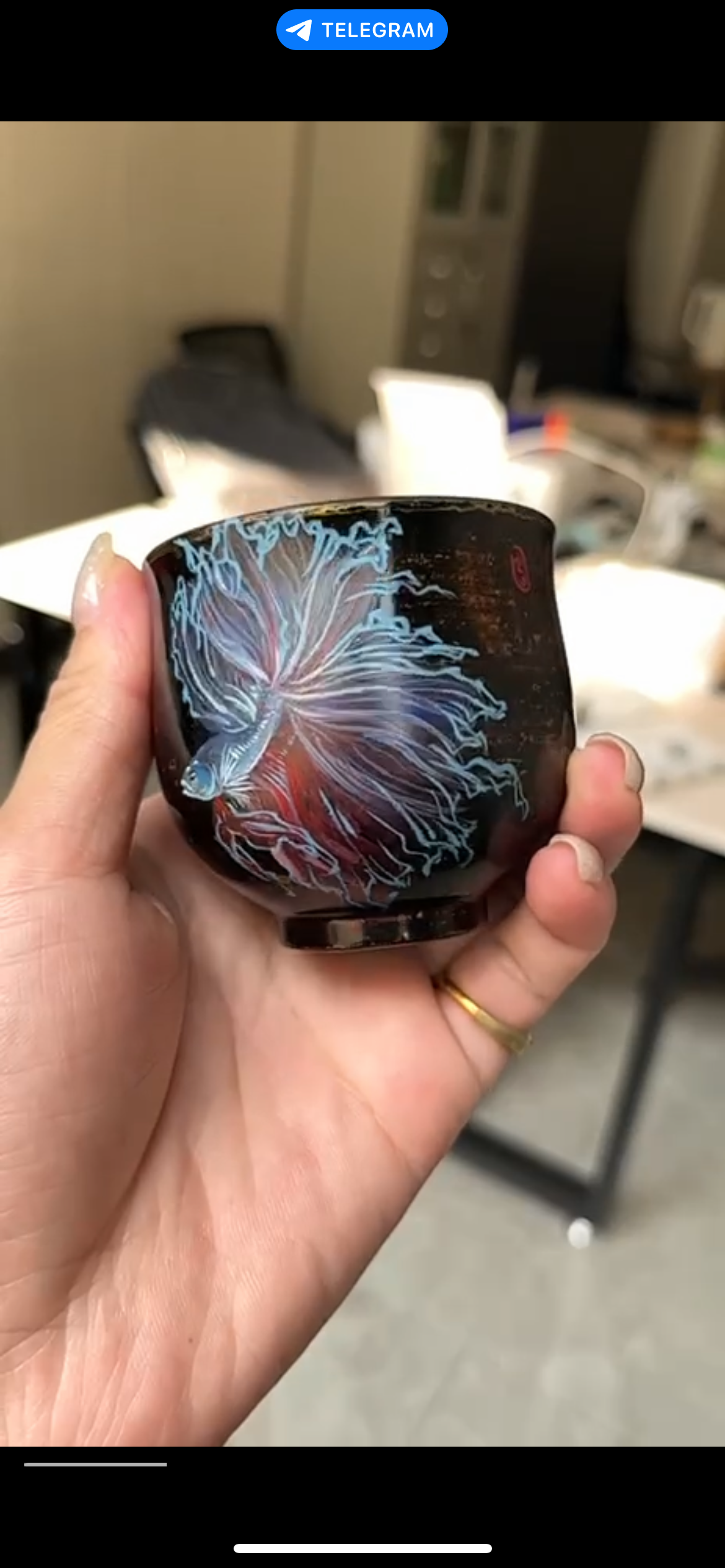 China veins 5.21