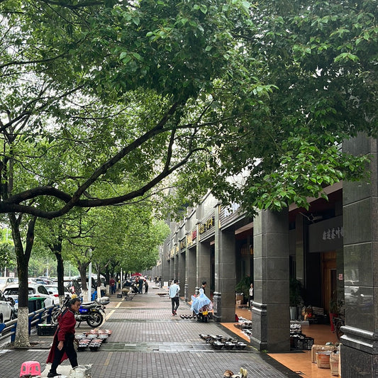 Jianzhan-Shop4.29