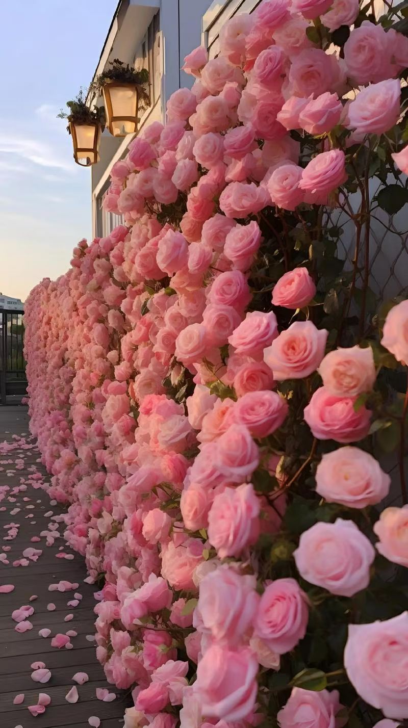 2026.1.11  master Chen