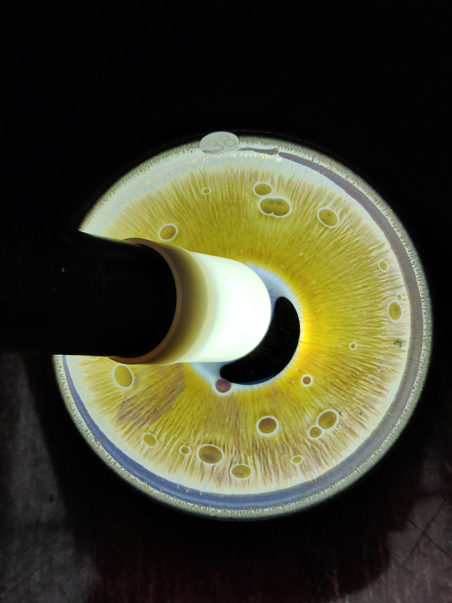 2025.11.2 Master You