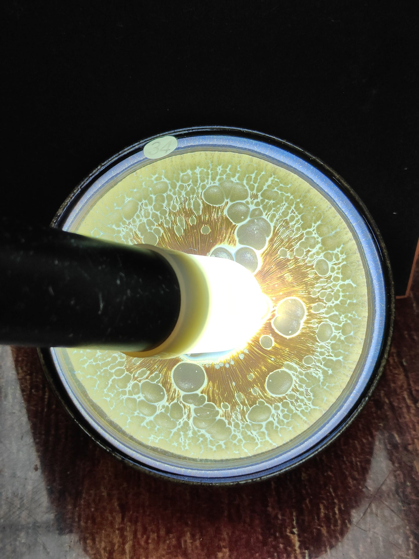 2025.11.2 Master You