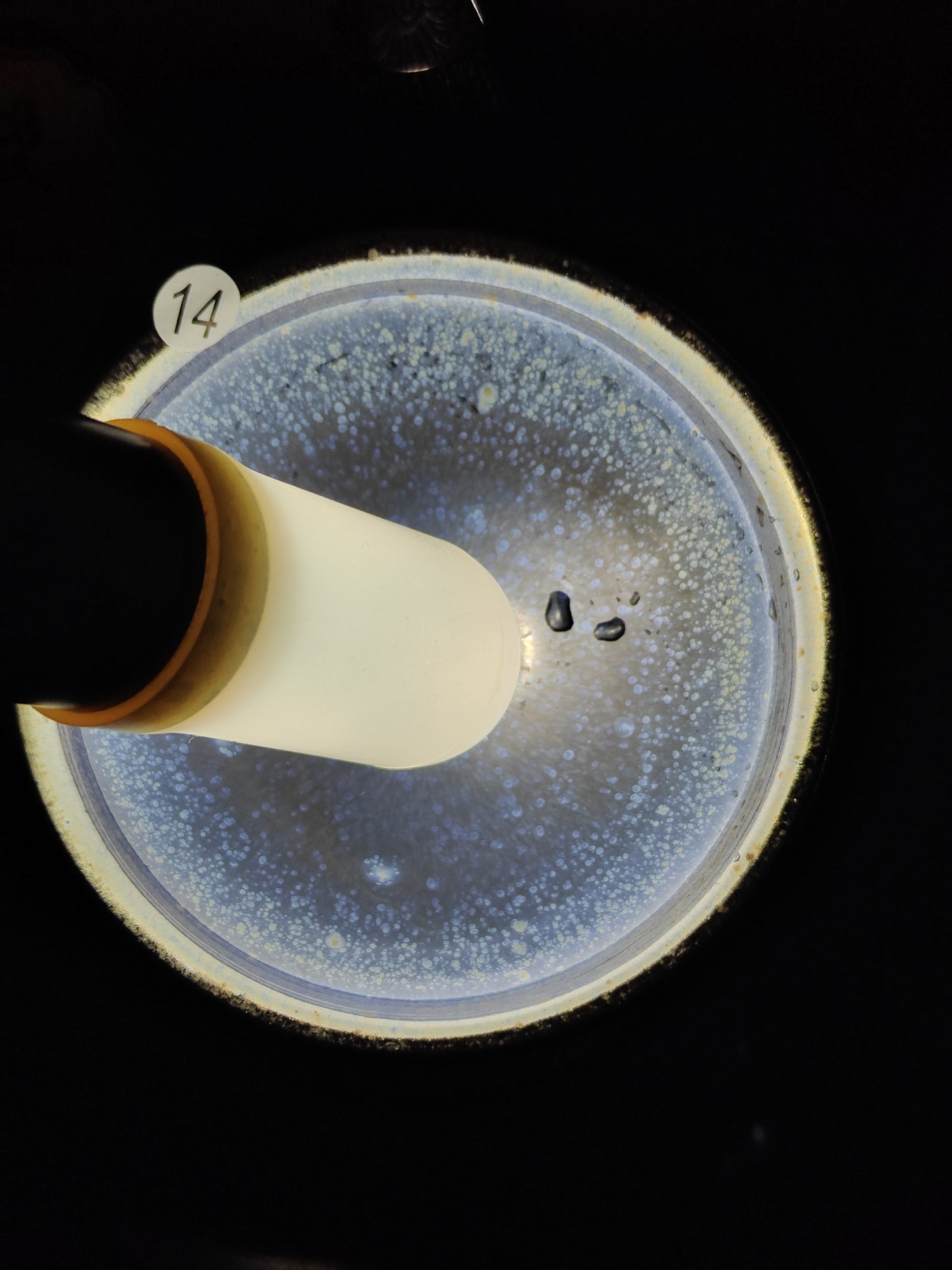 2025.11.5 Master Lai