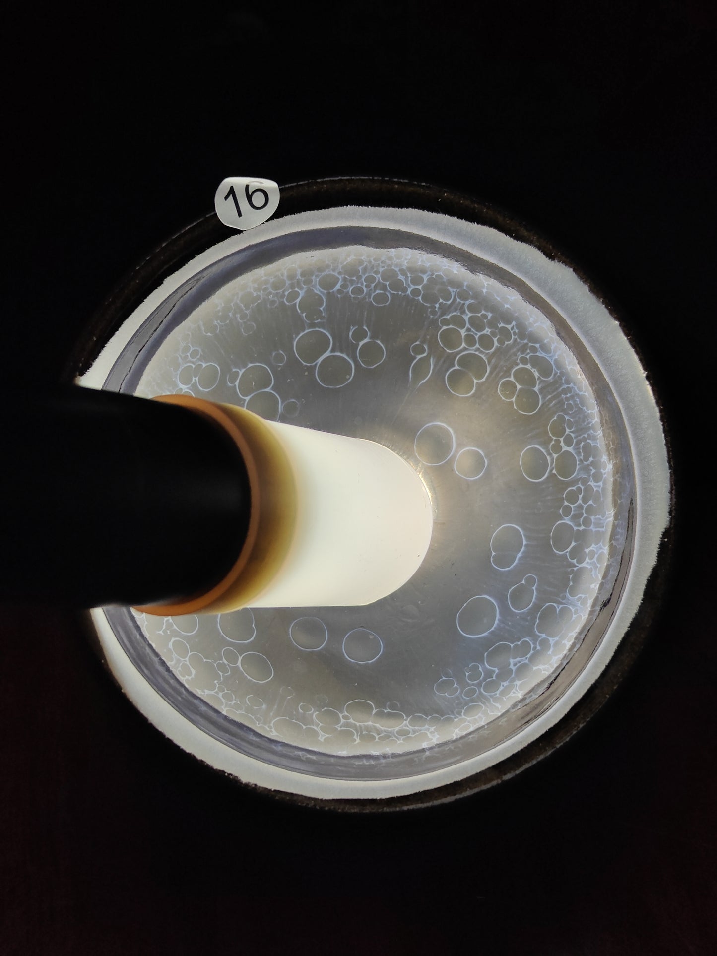 2025.11.8 Master Huang