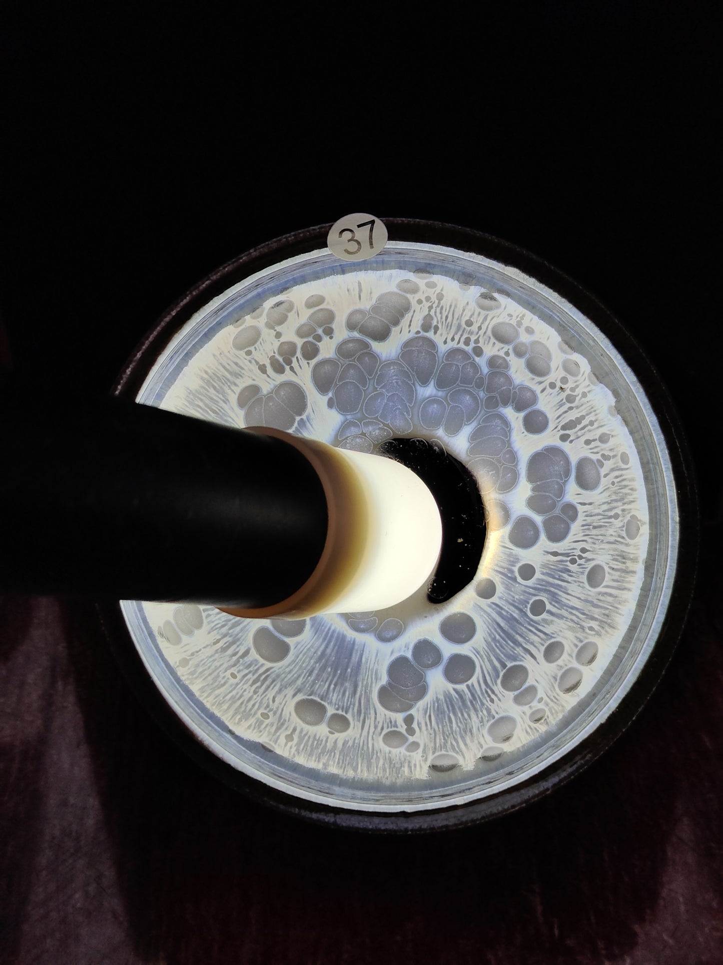 2025.11.2 Master You