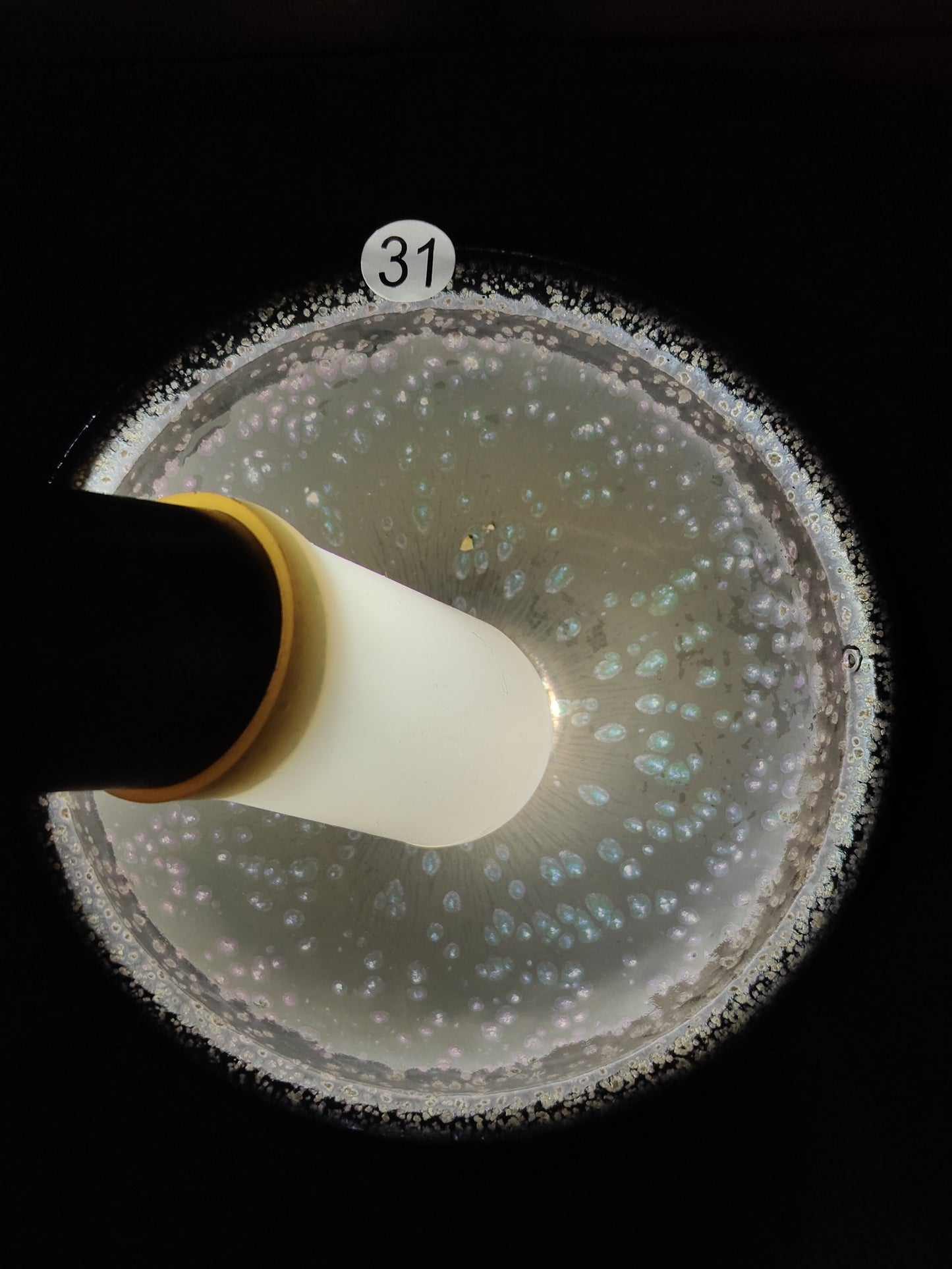 2025.11.4  Master Zhao