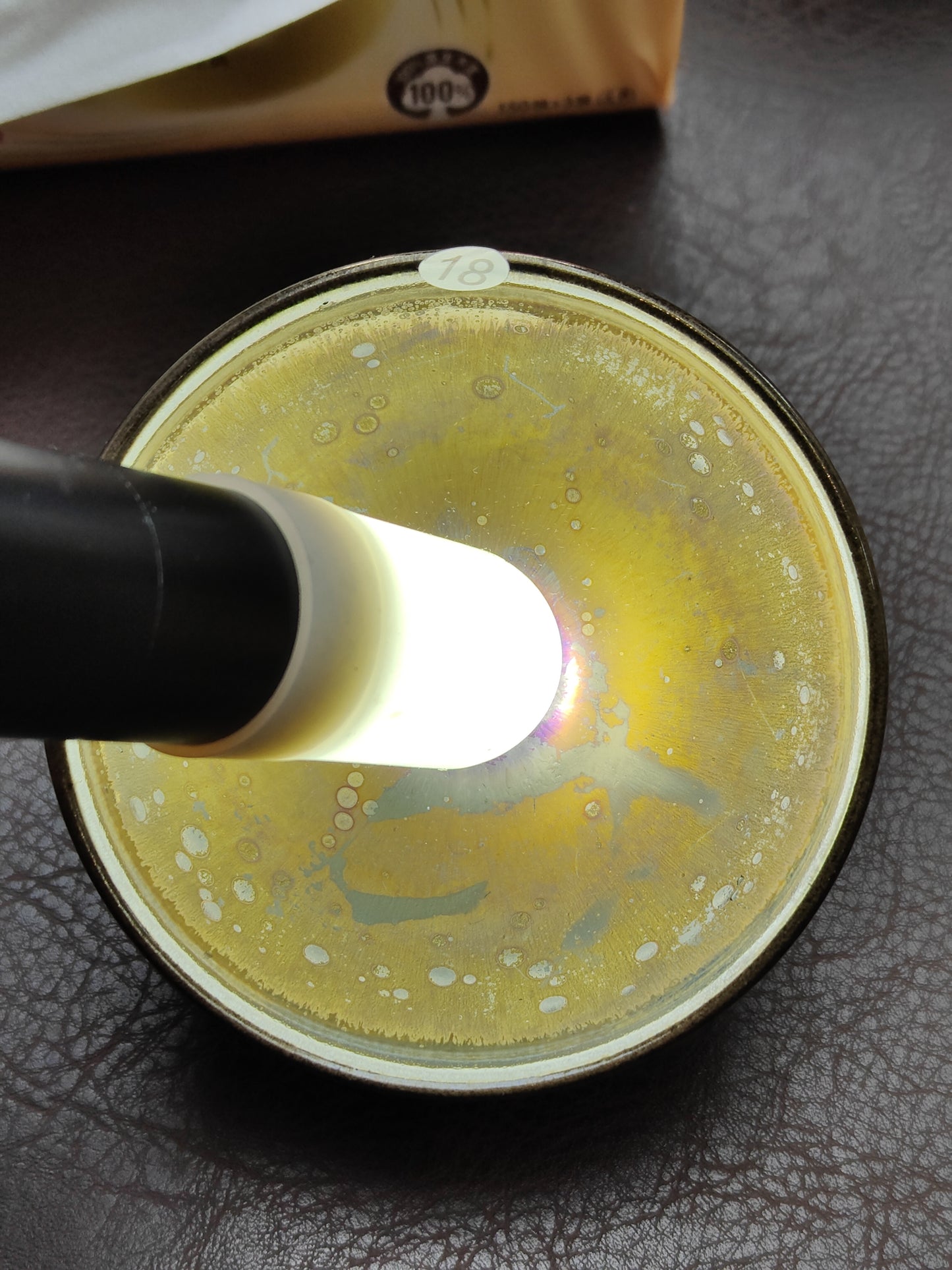 2026.1.13  master you