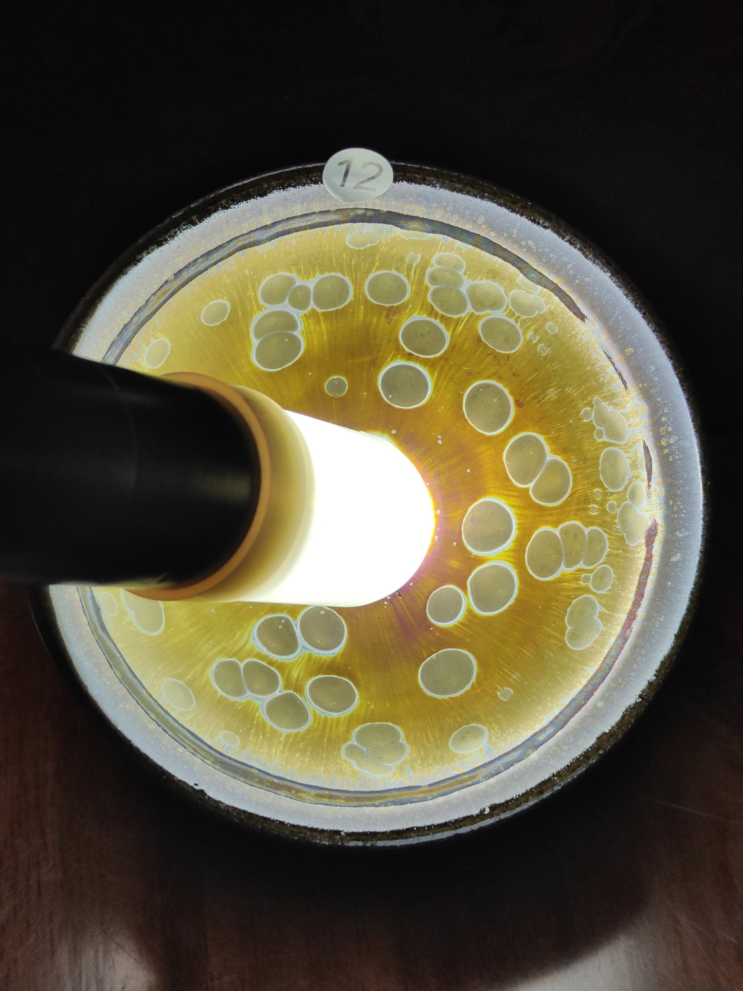 2025.11.8 Master Huang